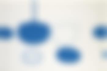 Blue Still Life (preview)