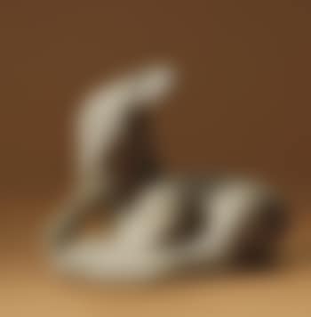 Crouching Fawn (preview)
