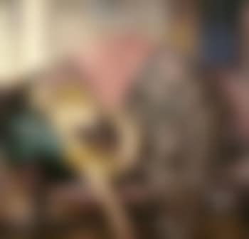 The plaid skirt (preview)