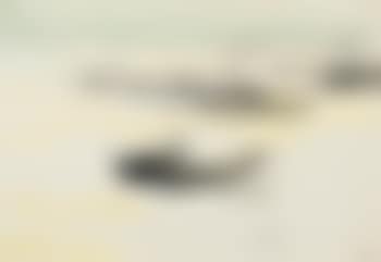 Boote (preview)