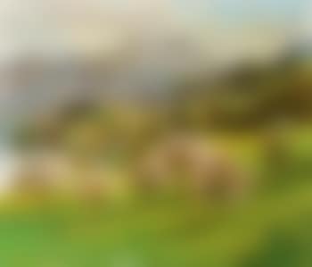 Schafberg im Frühling (preview)