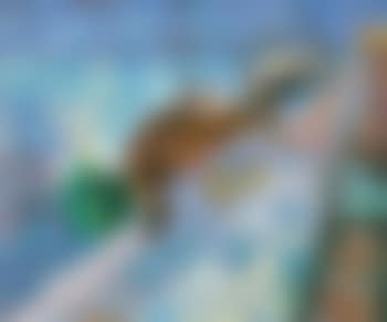 Hafenpartie am Meer (preview)