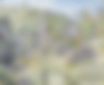 Mediterrane Landschaft (preview)