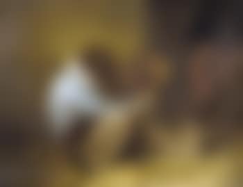 Der Eitle Affe (preview)