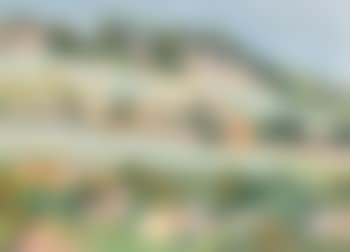 Vignes de lavaux (preview)