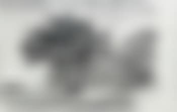 Drawing from sleeping on glass (tree) (preview)