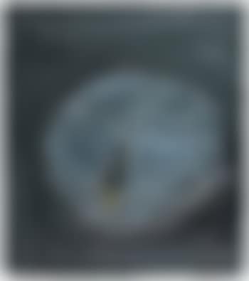 Camembert (preview)