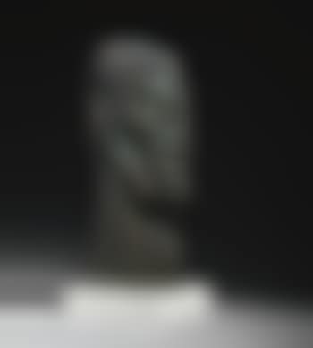 Grüner Kopf (preview)