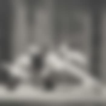 Untitled #347 (preview)