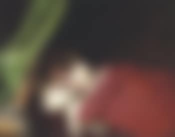 Sleeping beauty (preview)