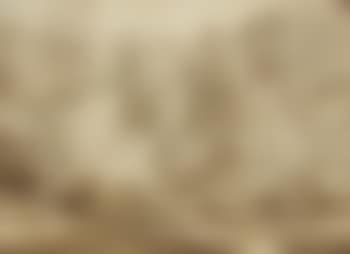 An extensive wooded river landscape (preview)