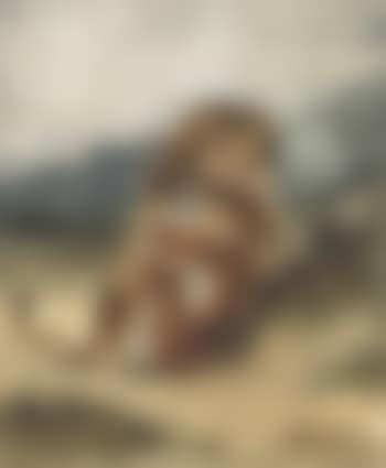 Combat d'un lion et d'un tigre (preview)