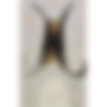 Naissance (preview)