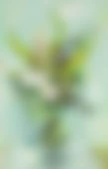 Vase de fleurs (preview)