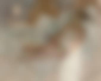 The Venetian Bed, Nude (preview)