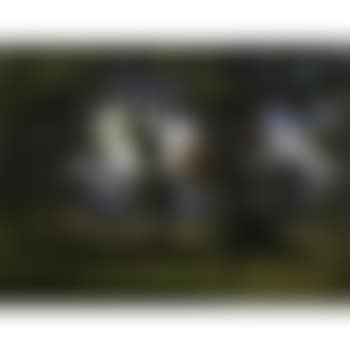 Eichwaldlichtung (preview)