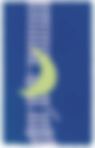 Untitled (Moon on Train Tracks). Peanuts (preview)