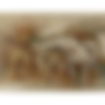 Bewildered Brown (preview)