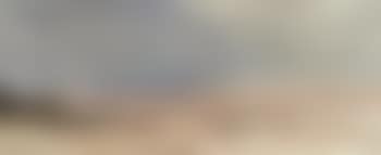 A coastal landscape (preview)