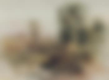 A barn in a wooded landscape (preview)