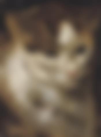 Study of a cat (preview)