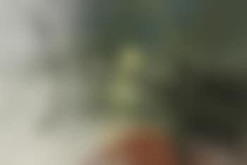 T1989-A39 (preview)