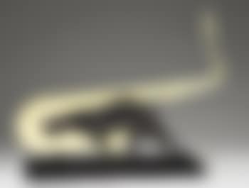 Jazzy Jaguar (preview)
