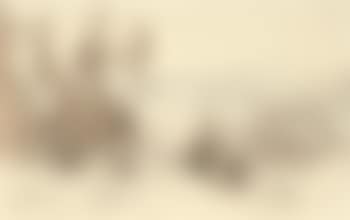 View of the Turkish cemetery, Ayoub, Constantinople (preview)