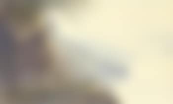 Amalfi (preview)