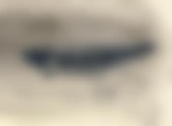[Fish] (see Schellmann 29 and 48) (preview)