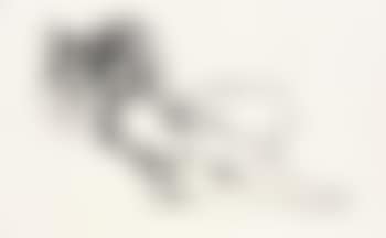 Monica Nude with Matisse (preview)