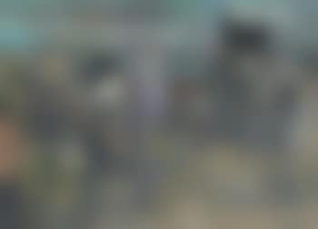 Sueño: Tres bañistas, coche, perro, enana sosteniendo un espejo, pájaros (preview)