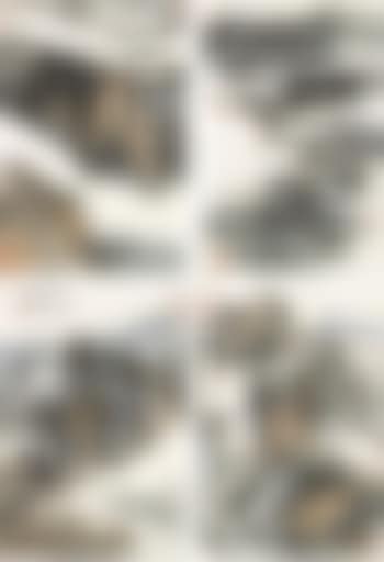 Landscapes (preview)
