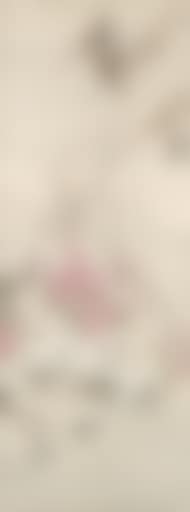 Swallows (preview)