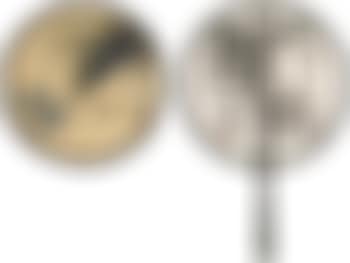 Flowers, Insect and Calligraphy (preview)