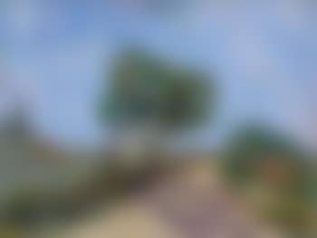 Paysage aux arbres (preview)