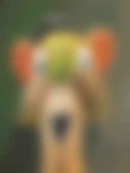 Frontal + Reversal (preview)