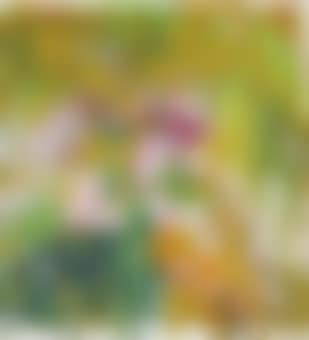 Grande Vallée II (Amaryllis) (preview)