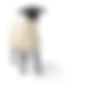 Mouton (preview)