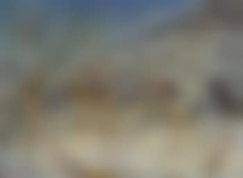 Paysage de neige (preview)