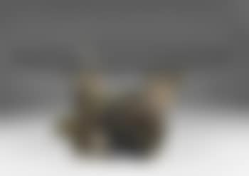 Table basse (preview)