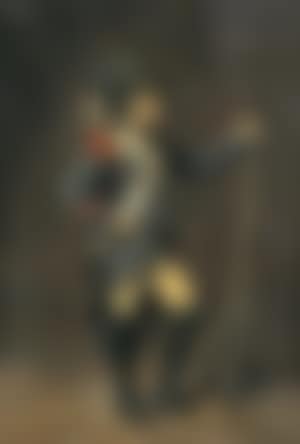 De brigadier (preview)