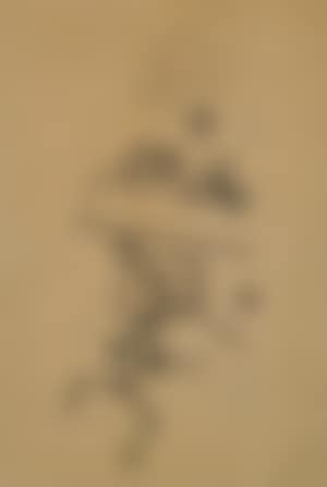Akte (Nudes) (preview)