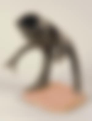 Peut-être s'est il convaincu qu'on ne peut échapper à ce genre de grimace (preview)
