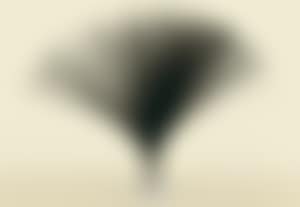 Untitled (Spray) (preview)