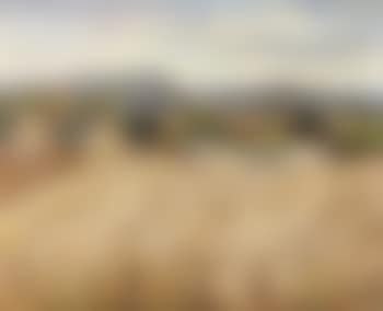 Moisson en Provence (preview)
