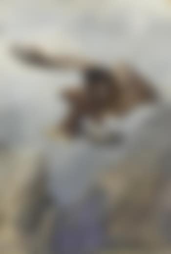 An Eagle Landing (preview)
