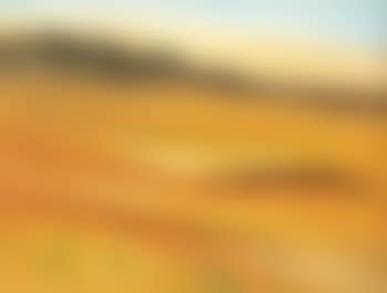 Le troupeau des chameaux, Sahara (preview)