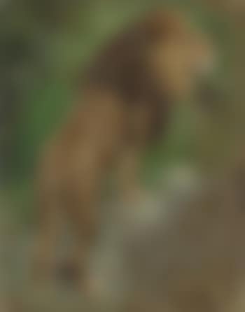 Standing Proud (preview)