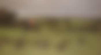 J Ashton Radcliffe, MFH, Hunting with the South Dorset Hunt (preview)